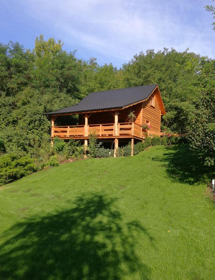 Villa Eden Ślesin Exterior photo