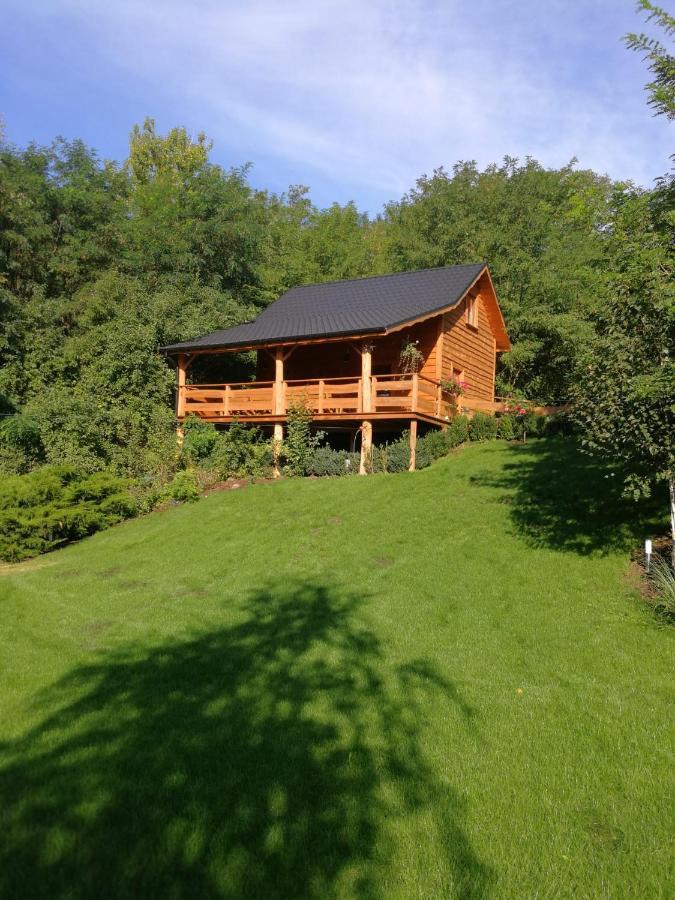 Villa Eden Ślesin Exterior photo